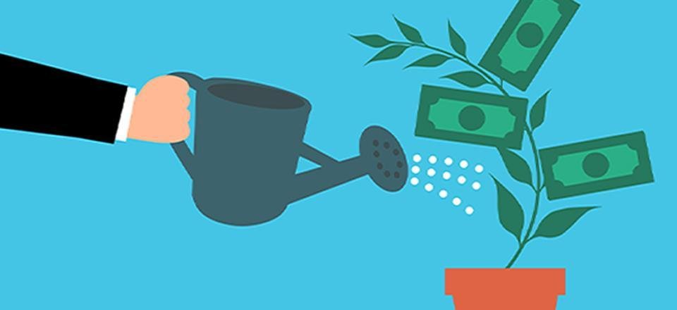 Como realizar uma boa gestão financeira